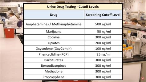 dropping drug test|drug test detection time.